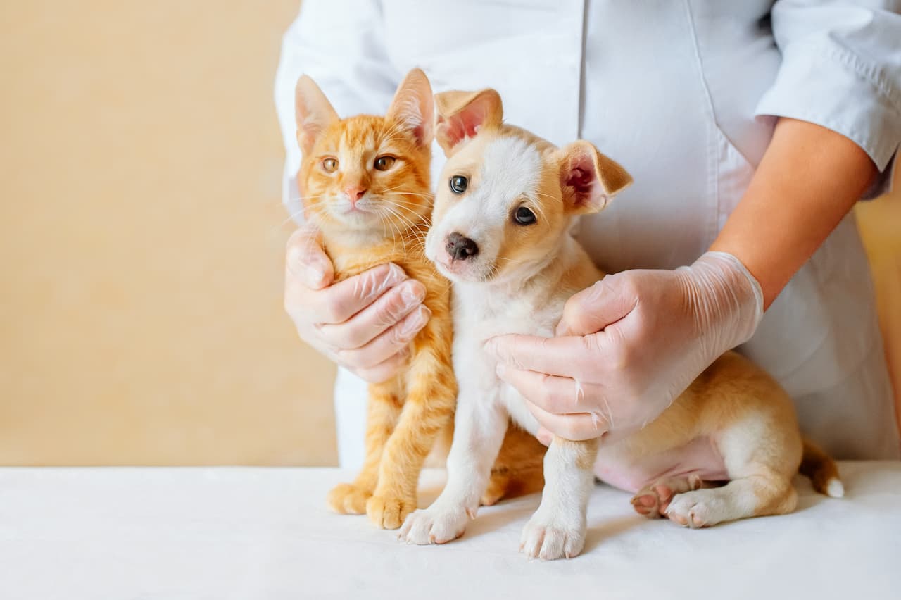 Soluções completas para seu laboratório veterinário